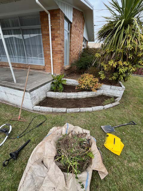 Garden after