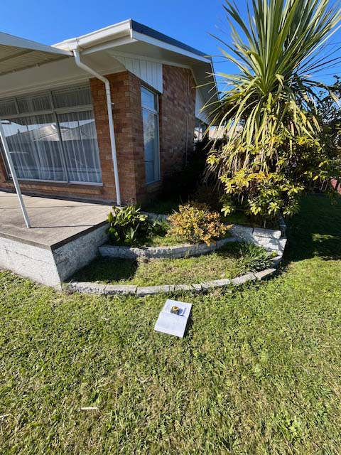 Garden before